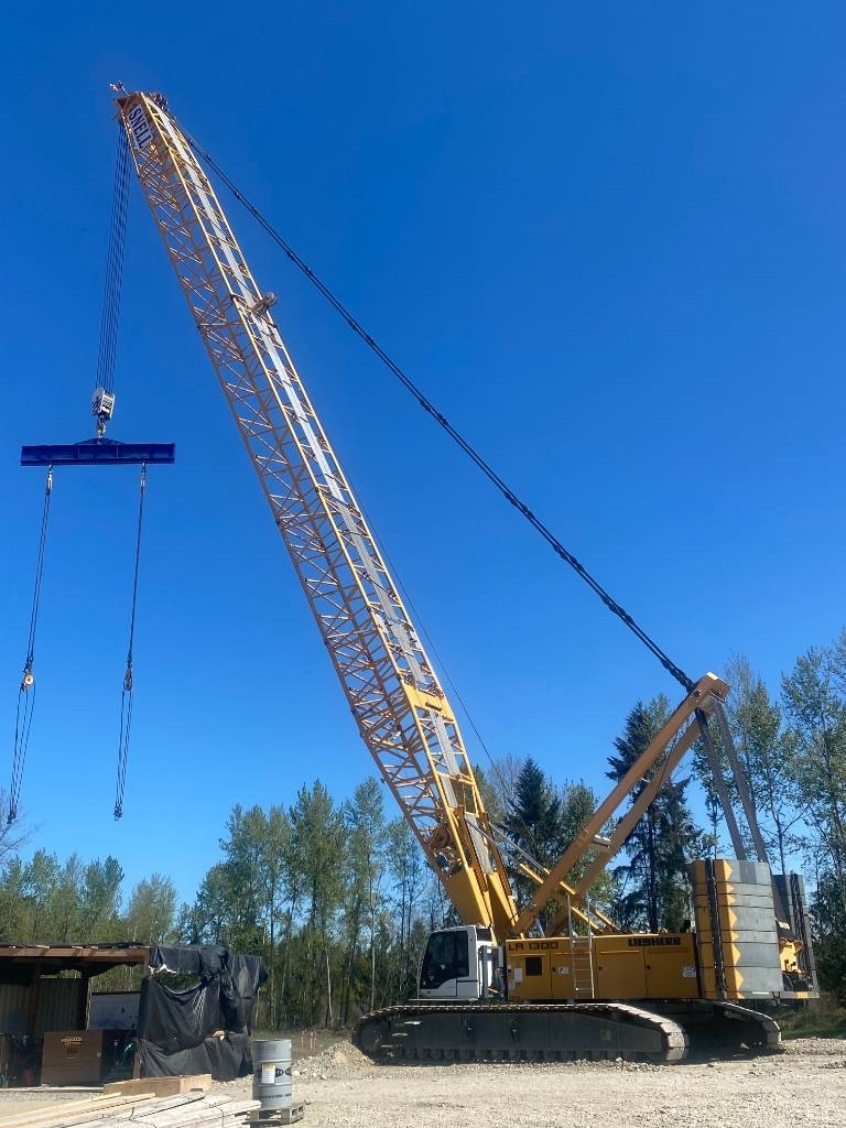Used 2010 LIEBHERR LR 1300 SX Crawler Cranes Connecticut US | Quality Cranes & Equipment #1485669