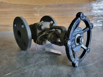 1" Class 150 Globe Valve (Standard)