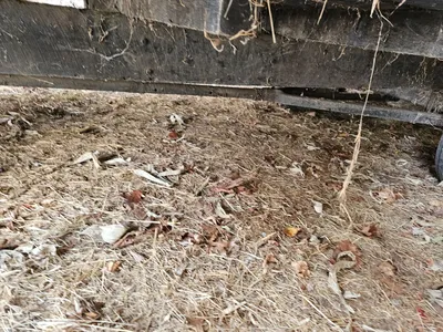 BALE WAGONS Bale Wagons | Iron Listing (7)