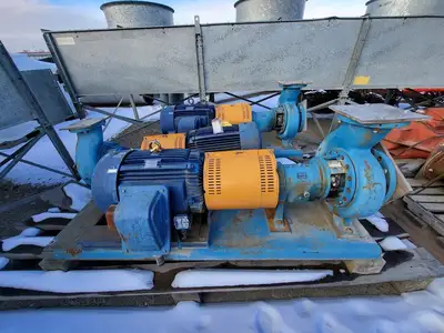 USED GOULDS 3196