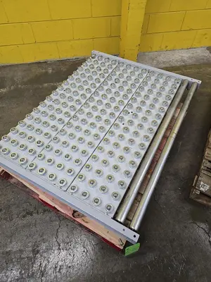 Used HYTROL ROLLER BALL TRANSFER  CONVEYOR Roller Conveyors Wisconsin US | Packer City Sales #1301795