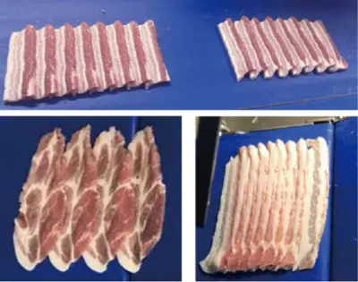 Nantsune Model NUS-340 III Jupiter III High Speed High Performance Meat Slicer