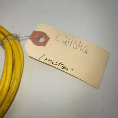 Used LUMBERG AUTOMATION LUMBERG AUTOMATION E24546 DUAL END FEMALE  / 1 METER LONG W/ SPLITTER 4 PRONG MALE Cable & Wire | ND Industrial Surplus #1219722