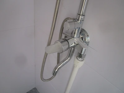 Raytree Full Bathroom/Shower Module