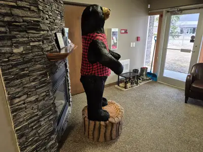 6'-3" Black Bear Display