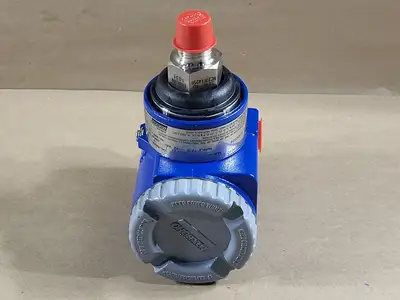 NEW FOXBORO IGP10-T22C1C