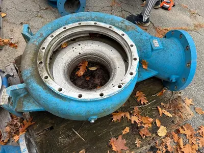 USED GOULDS 3175