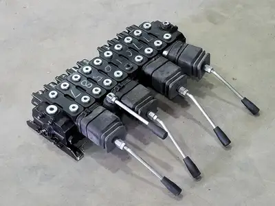 Control Valve Assembly 77010587