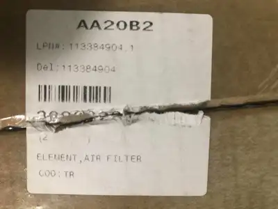 AA20B2 Air Filter Element 113384904.1