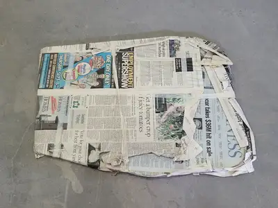 Door Glass Window DD11591 GTN