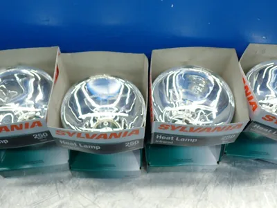 NEW SYLVANIA 250BR40/RP