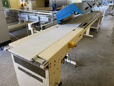 Nielsen Enrobing belt 300mm wide with Blum Cooling tunnel