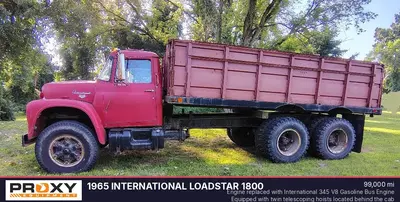 Used 1965 INTERNATIONAL LOADSTAR 1800 Dump trucks Michigan US | Proxy Equipment #1385205