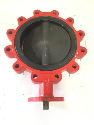 Bray ND4789/20-1000-82801-560 6″Lug-Style Resilient Seated Butterfly Valve