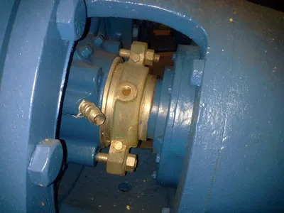 USED Goulds 3175