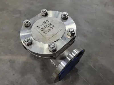 3", Class 150, Check Valve, B16.34