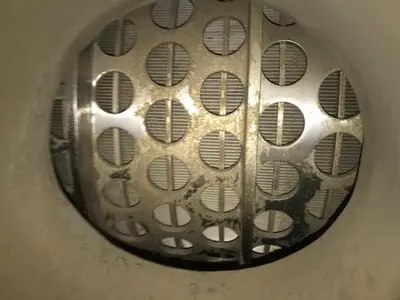 Gauld Periflow Model C275 Pressure Screens