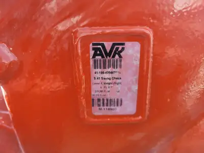 10 hp Pump Assembly w/ 6 in. Swing Check & Butterfly Valve