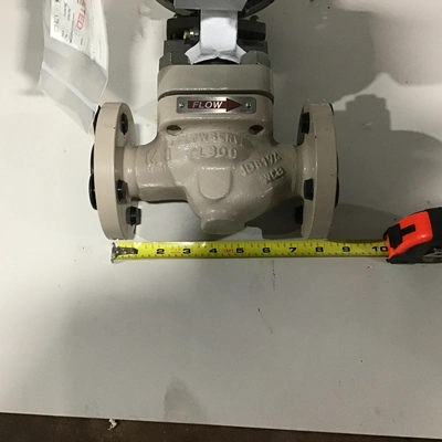 Flowserve K39-5028-TV – MK1 Globe Control Valve w/Pneumatic Actuator & Digital Valve Positioner
