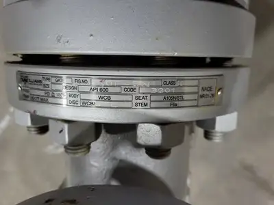 2" Class 600 Gate Valve API 600