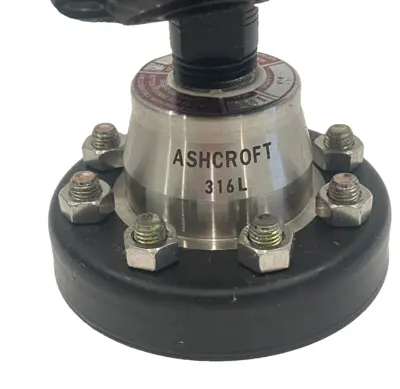 NEW ASHCROFT SABF27989 PRESSURE GAUGE WITH DIAPHRAGM 316L 0-60 PSI