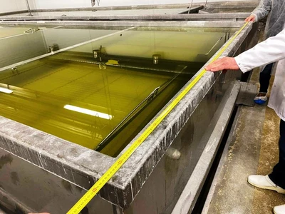 Kalt/GEA Westfalia 24 TPD complete cheese plant.