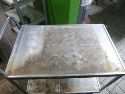 2 Shelf Stainless Utility Cart