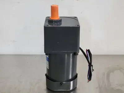 60W AC Inductor Motor 5RK60GU-EF w/ Gear Head 5GU 100KB