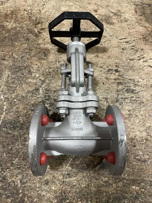 Marck 3/4” Stainless Steel Manual Flanged Gate Valve