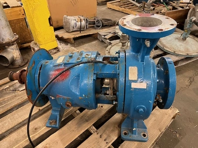 USED Goulds 3175