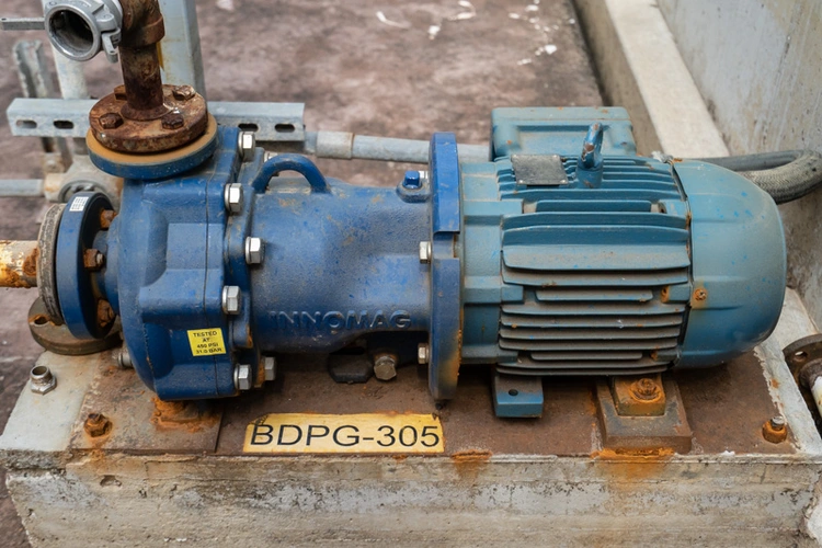 Used 2018 FLOWSERVE SS316 Pumps | Solutions 4 Manufacturing #943698