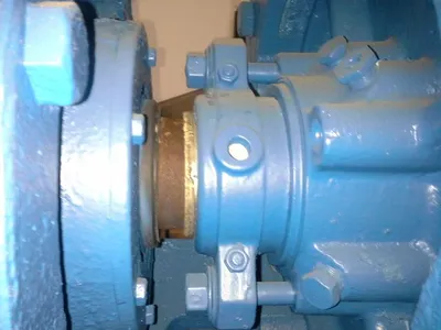 USED Goulds 3175