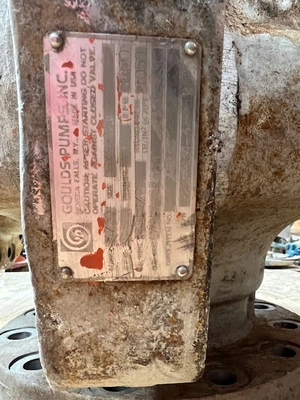USED Goulds 3700