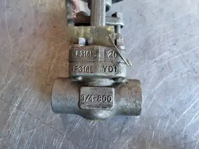 3/4" Class 800 Gate Valve B16.34