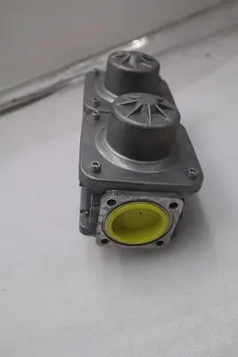 NEW Siemens VGD20.503U Gas Valve Double 2 Inches Replacement STOCK H110