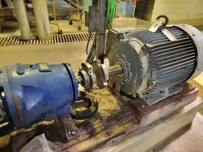 USED GOULDS 3175