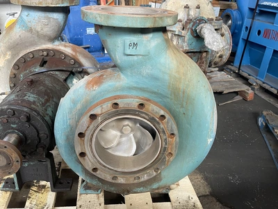 USED Goulds 3196 XLT