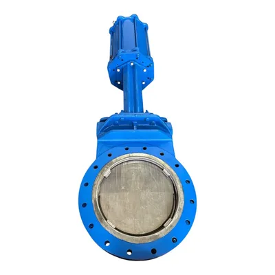 Used DEZURIK 824 Valves/Fittings MX | MAQUINARIA PECUSA #1394380