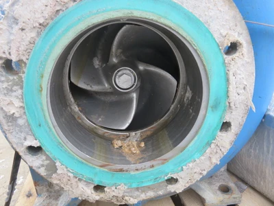 USED Goulds 3175