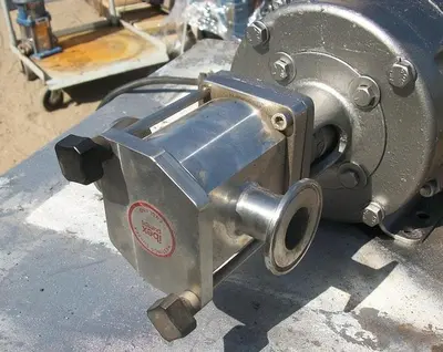 Pump, Positive, IBEX, Mdl 030, S/st, 1/2 HP, 1" #S741763