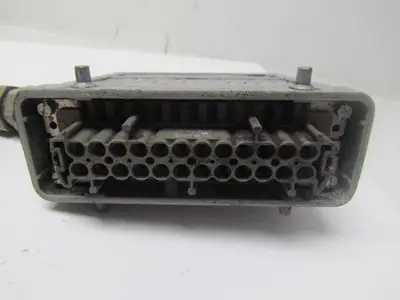 Wieland 70 350 2428 24 Pin Female Connector w/ 19' Belden Wire and 24 Pin Male