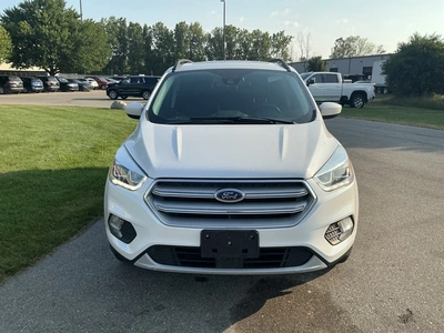Used 2019 FORD ESCAPE SUVs Michigan US | Miedema Asset Management Group #1320461