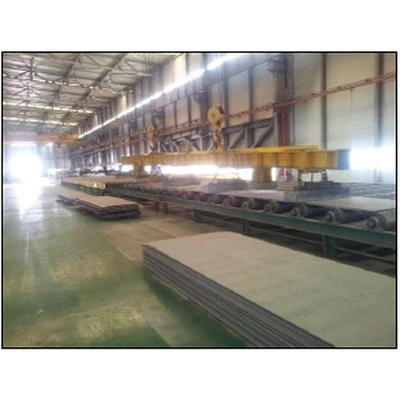 Plate Shot Blasting Plant
