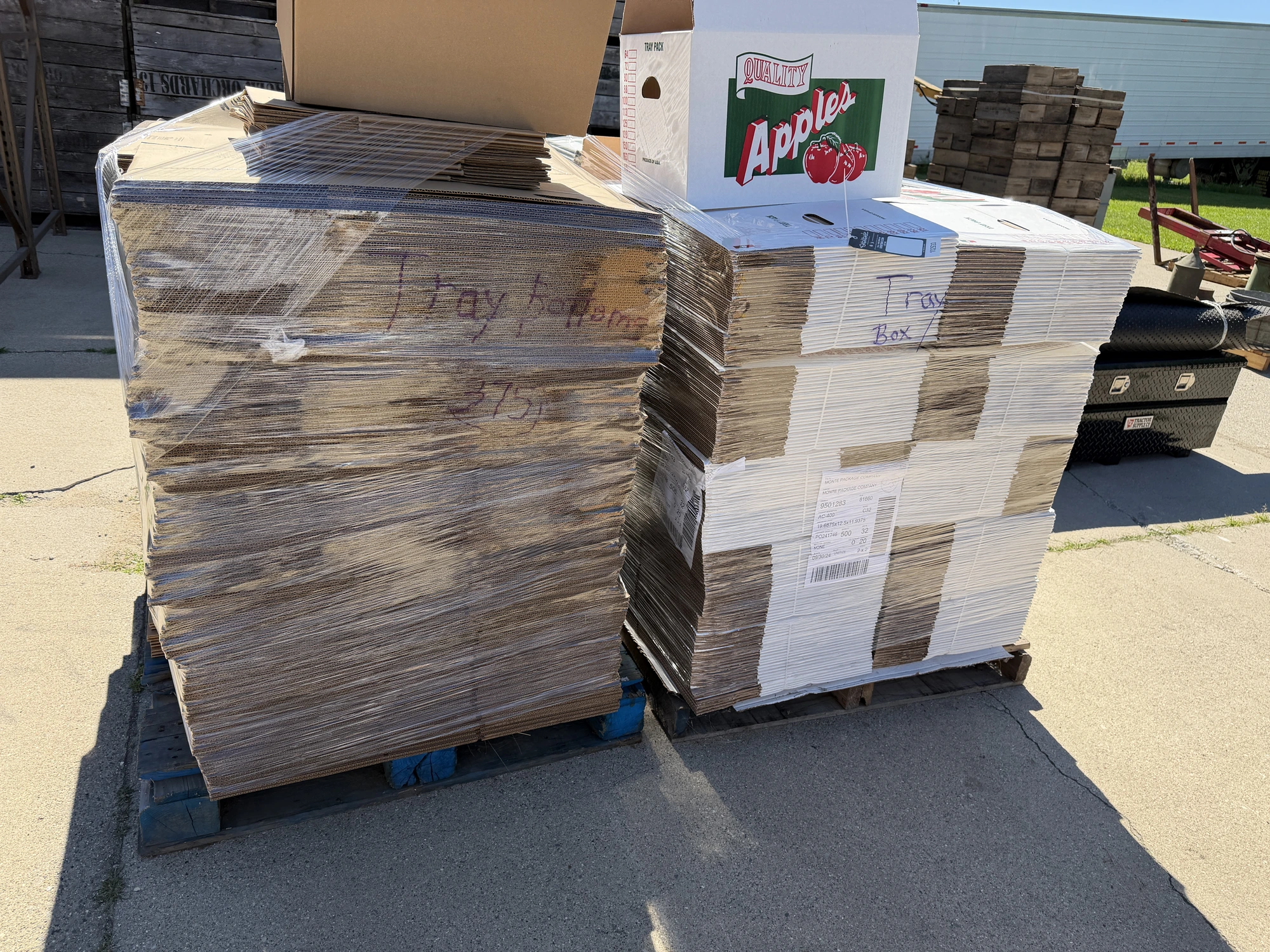Used _UNKNOWN_ _UNKNOWN_ Tray packers Michigan US | Miedema Asset Management Group #1287610