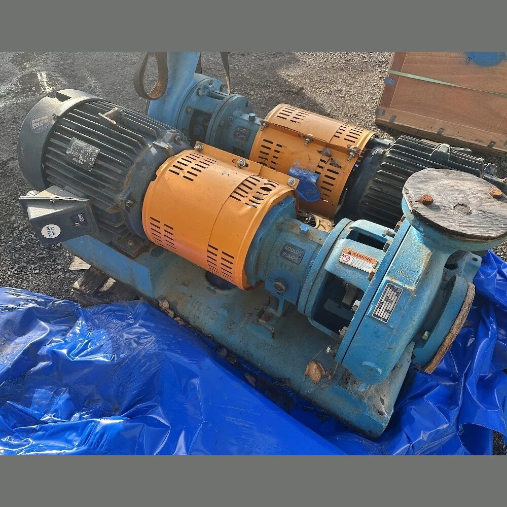 USED GOULDS 3196