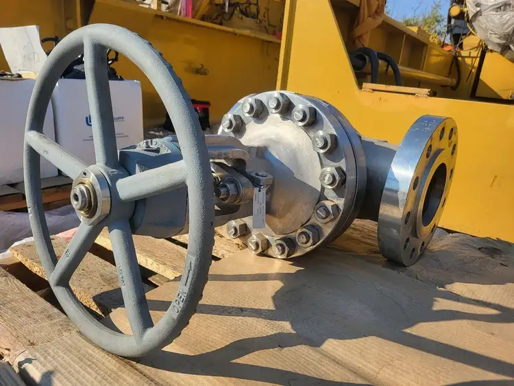 Used 2019 L&T VALVES LIMITED API 624 Valves/Fittings British Columbia CA | Lenmark #256797