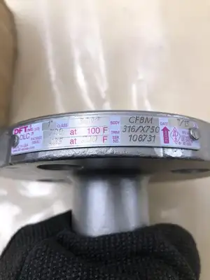 DFT DLC 1″ 316 Stainless Steel Class 300 Check Valve CF8M-NIB