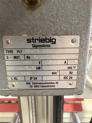 Used 1999 STRIEBIG OPTISAW 2 5192A Woodworking Panel Saws Oregon US | MachineryMax #1342618