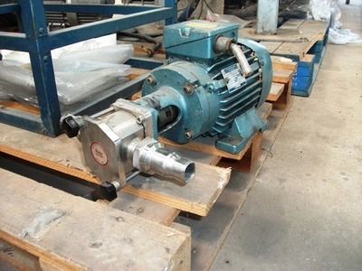 80 LPM Ibex S/S Pump