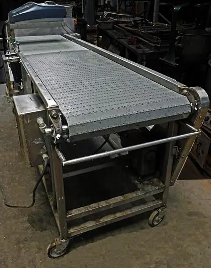 USED DUAL SORTING/CODING CONVEYOR, STAINLESS STEEL